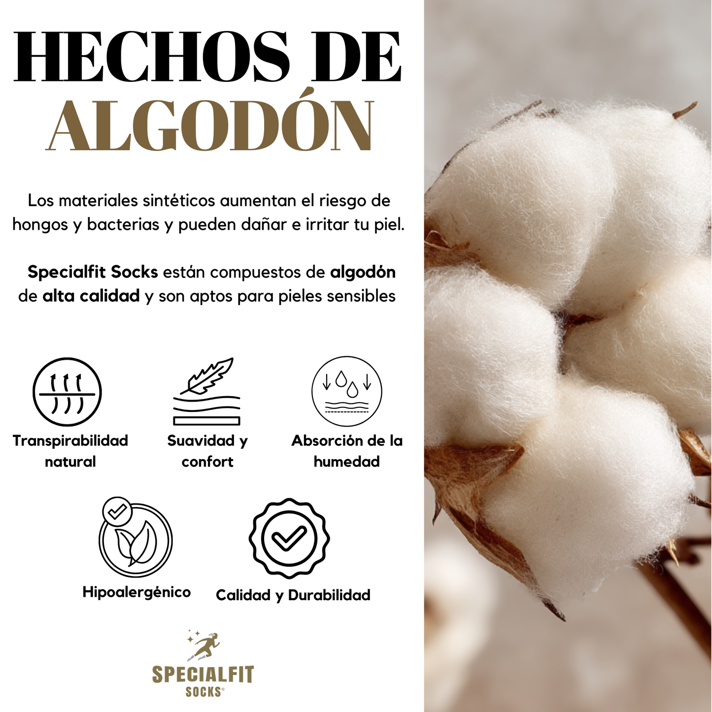 Tines cortos| sueves| no se enrollan| algodón | 6 pares| negros